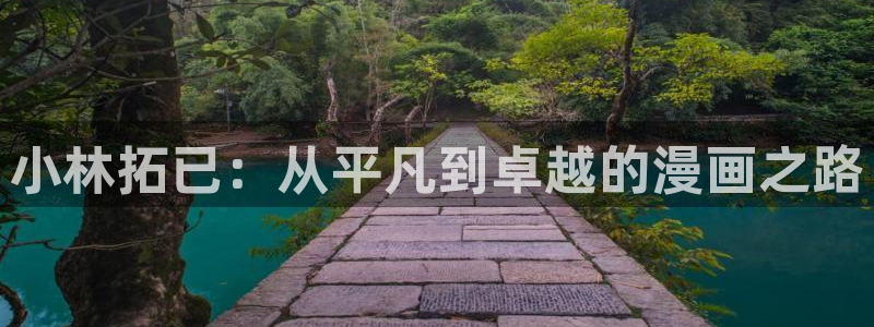拷贝漫画在哪下：小林拓已：从平凡到卓越的漫画之路