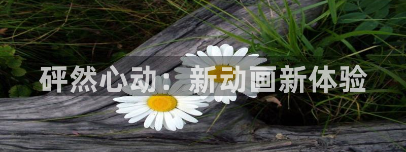 拷贝漫画主页：砰然心动：新动画新体验