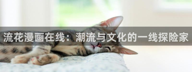 拷贝漫画2.31：流花漫画在线：潮流与文化的一线探险家