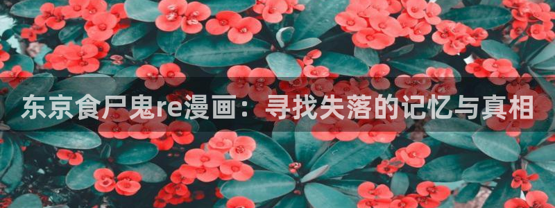 拷贝漫画海贼王：东京食尸鬼re漫画：寻找失落的记忆与真相